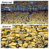 minions.jpg